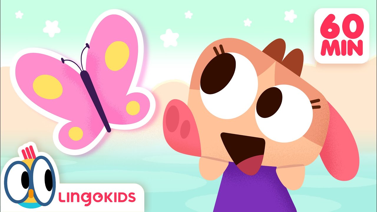 HIDE AND SEEK SONG 🦋🎶 + More Songs for Kids | Lingokids