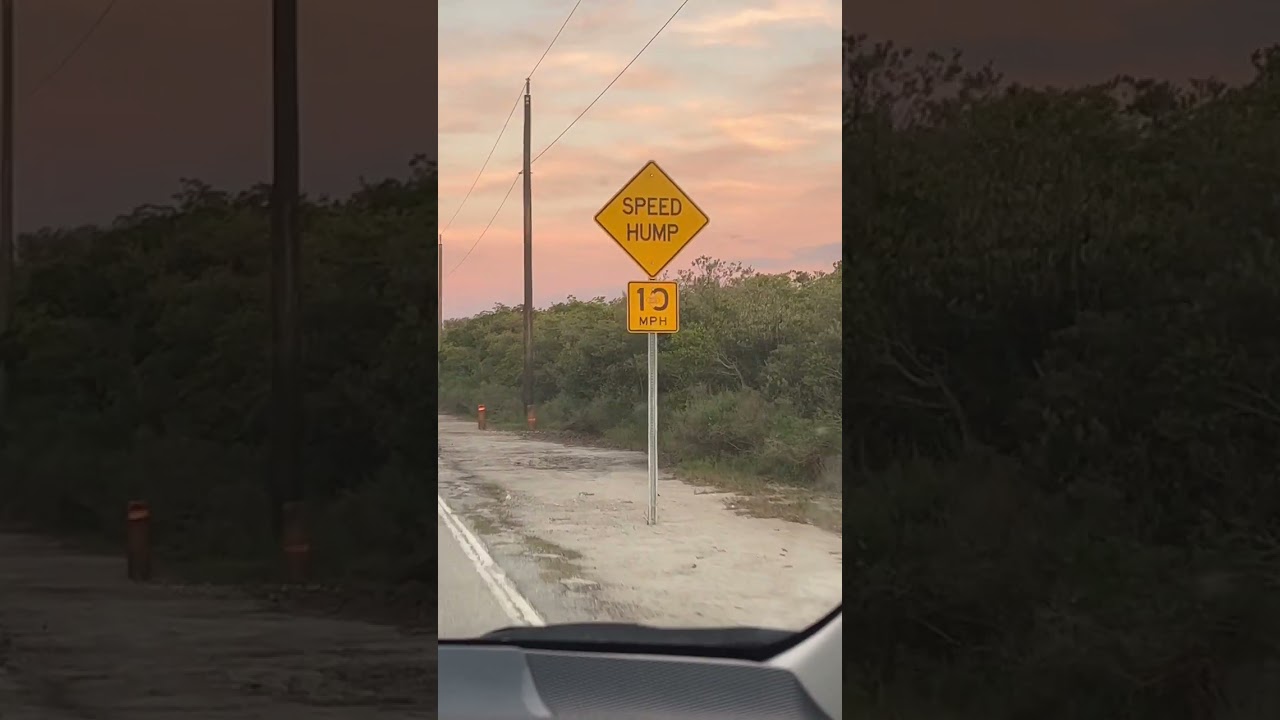 Speed hump! #shorts #youtubeshorts