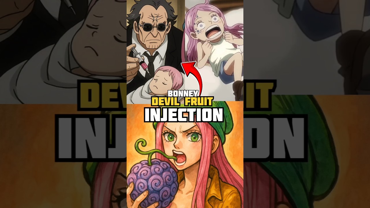 How Jewelry Bonney Got Her Devil Fruit In One Piece Will Shock You