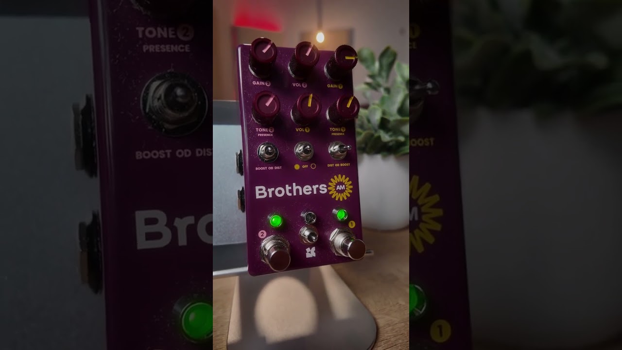 Tom Butwin Demos the Chase Bliss Brothers AM!