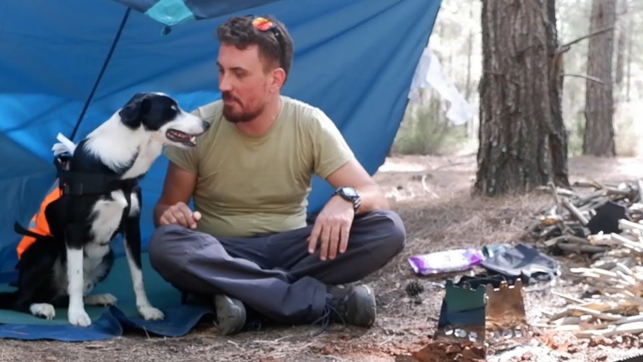 Issız Ormanda Bir Gece (Köpeğimle)X Bushcraft Kampı 🏕️ ASMR