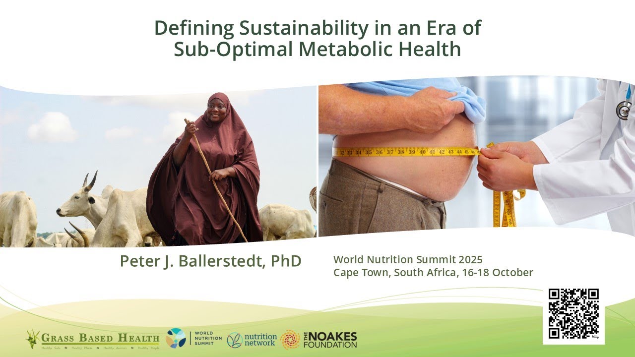 My World Nutrition Summit 2025 presentation