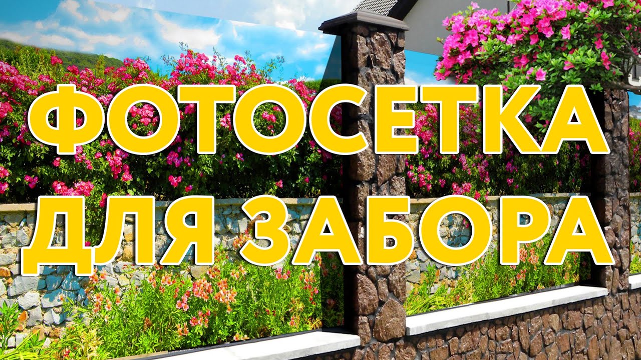 Фотосетка для забора #декорзабора #заборизпрофнастила