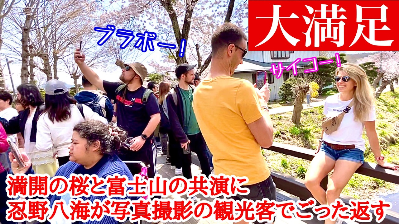 「日本に来て良かった!!」満開の桜と富士山に大感激！忍野八海が外国人観光客でごった返す！