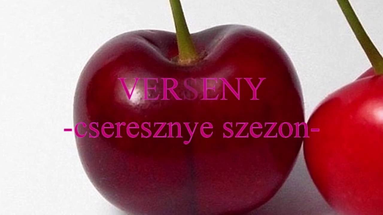 Olajfestés kezdőknek, V. rész (Cseresznye szezon) VERSENY