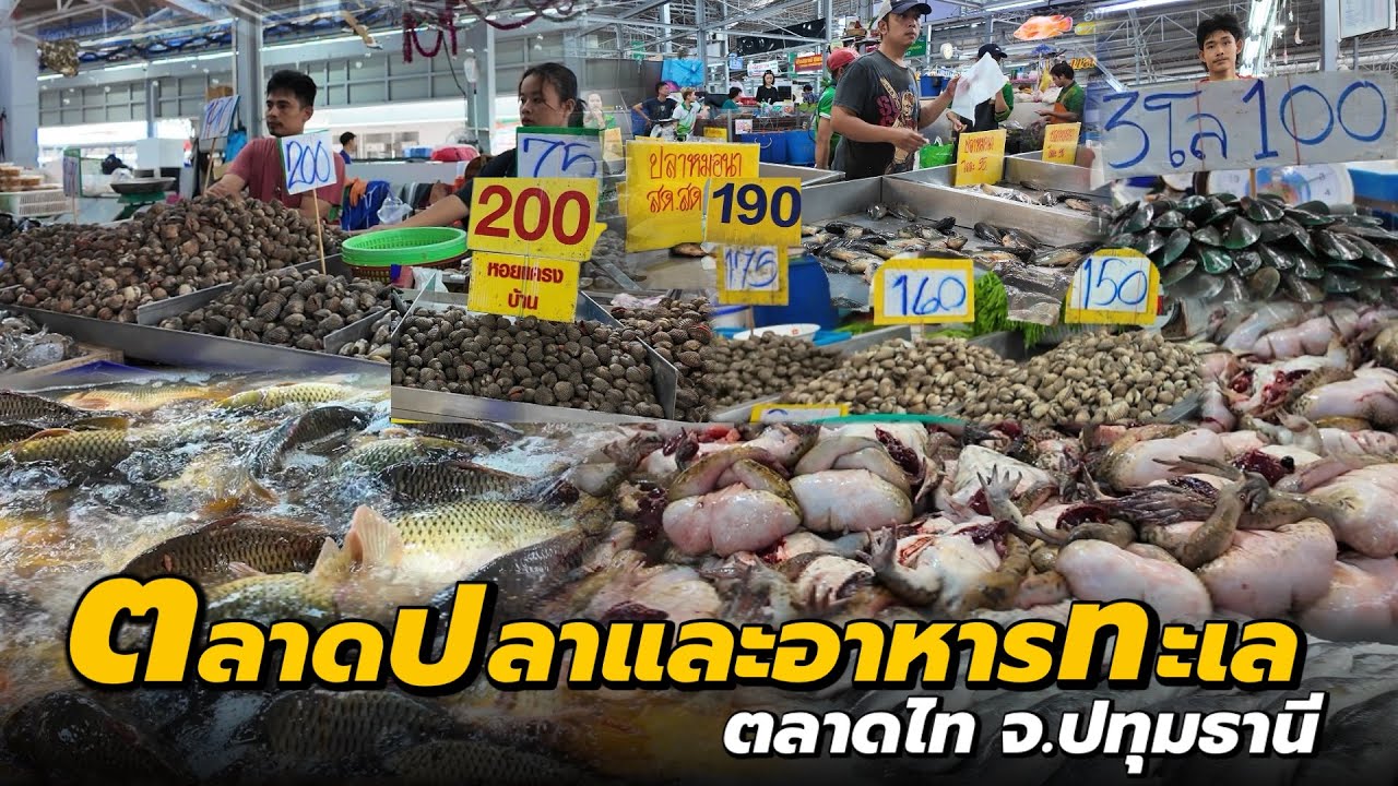ตลาดปลาและอาหารทะเล ตลาดไท | TalaadThai Fish and Seafood Market