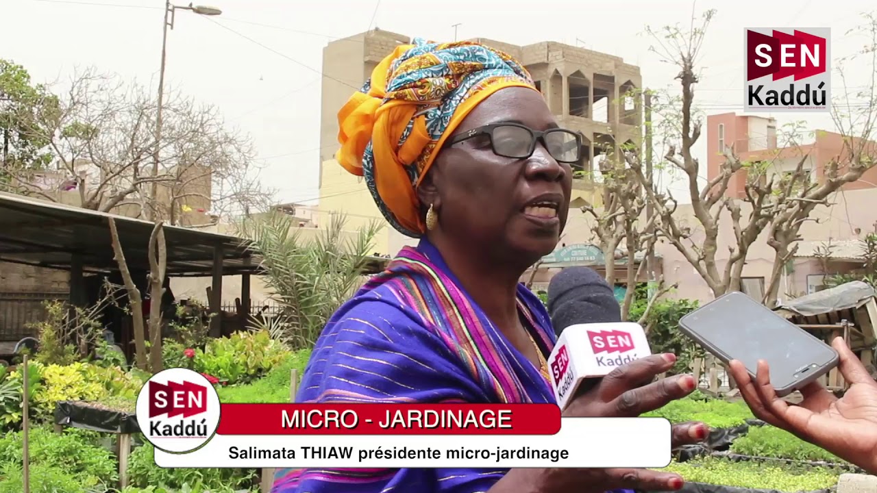 MICRO-JARDIN: Salimata THIAW le micro jardinage une alternative pour le 3ème âge