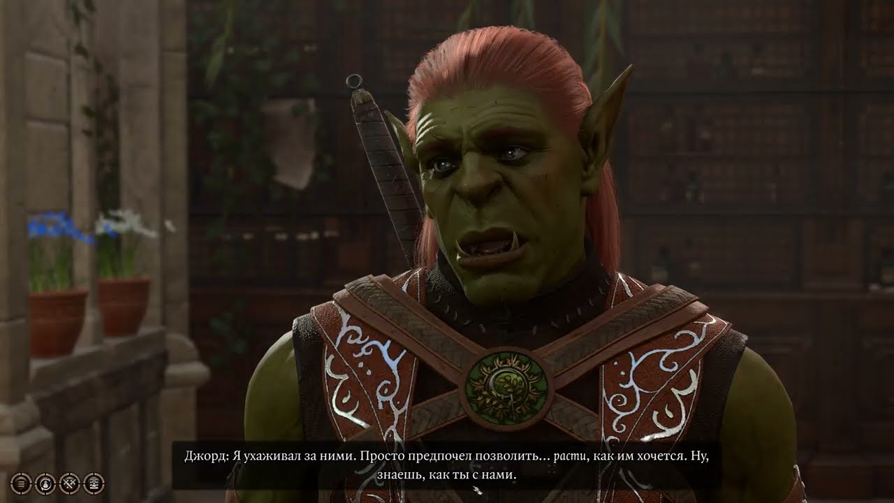 Дом Джахейры и ее подопечные - Baldur's Gate 3 
