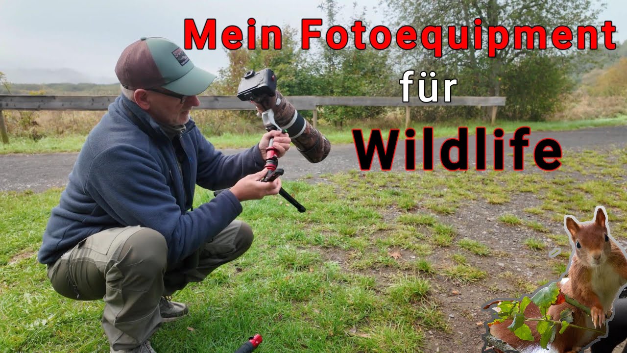 Mein Aktuelles Fotoequipment für Wildlife Fotografie