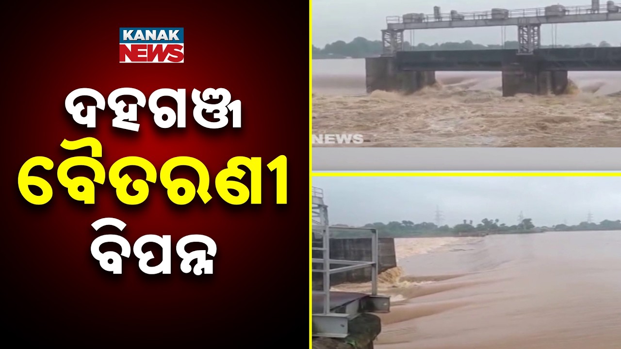 ଦହଗଞ୍ଜ ବୈତରଣୀ ବିପନ୍ନ | Baitarani Flood Update | 5th Flood in 52 Days, Villages in Distress