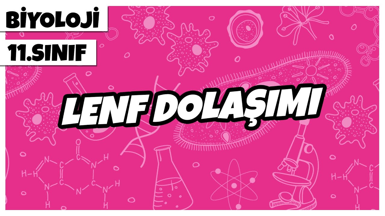 11. Sınıf Biyoloji - Lenf Dolaşımı | 2022