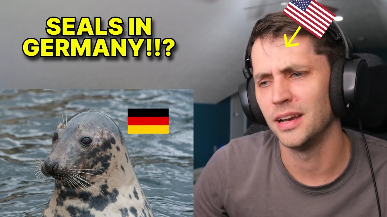 American reacts to Germany's Animals