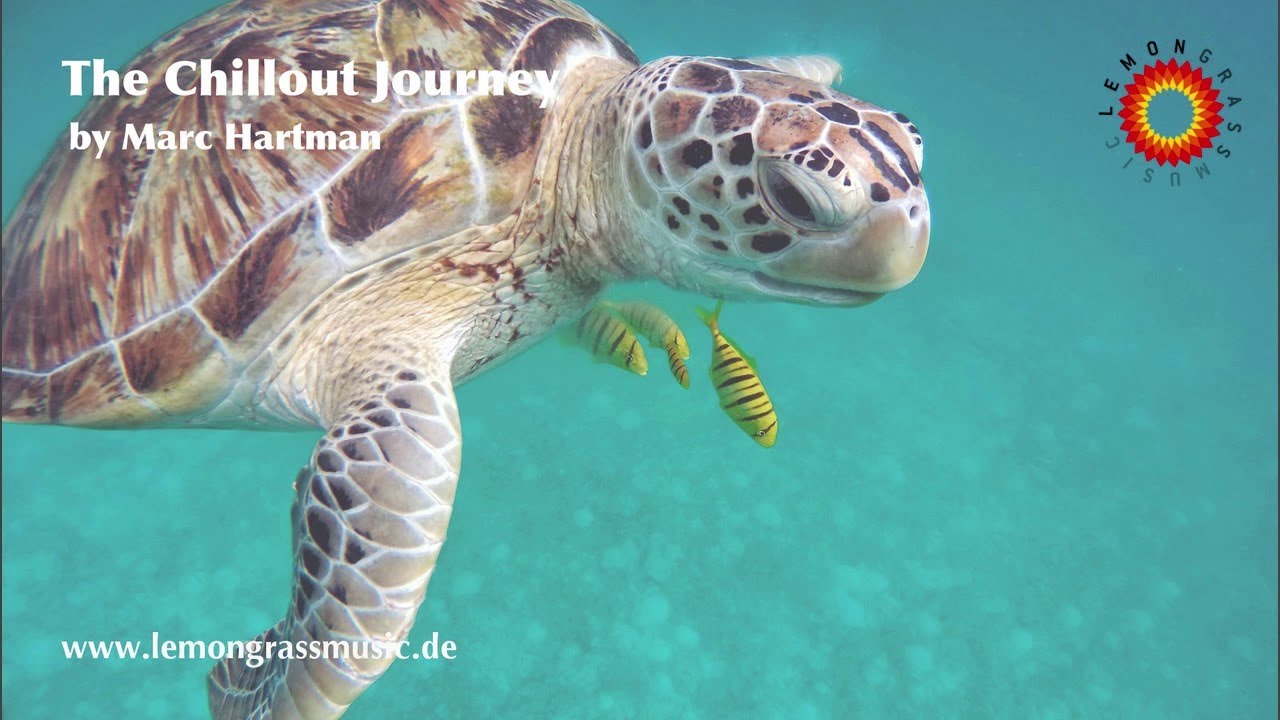 The Chillout Journey (Marc Hartman In The Mix)