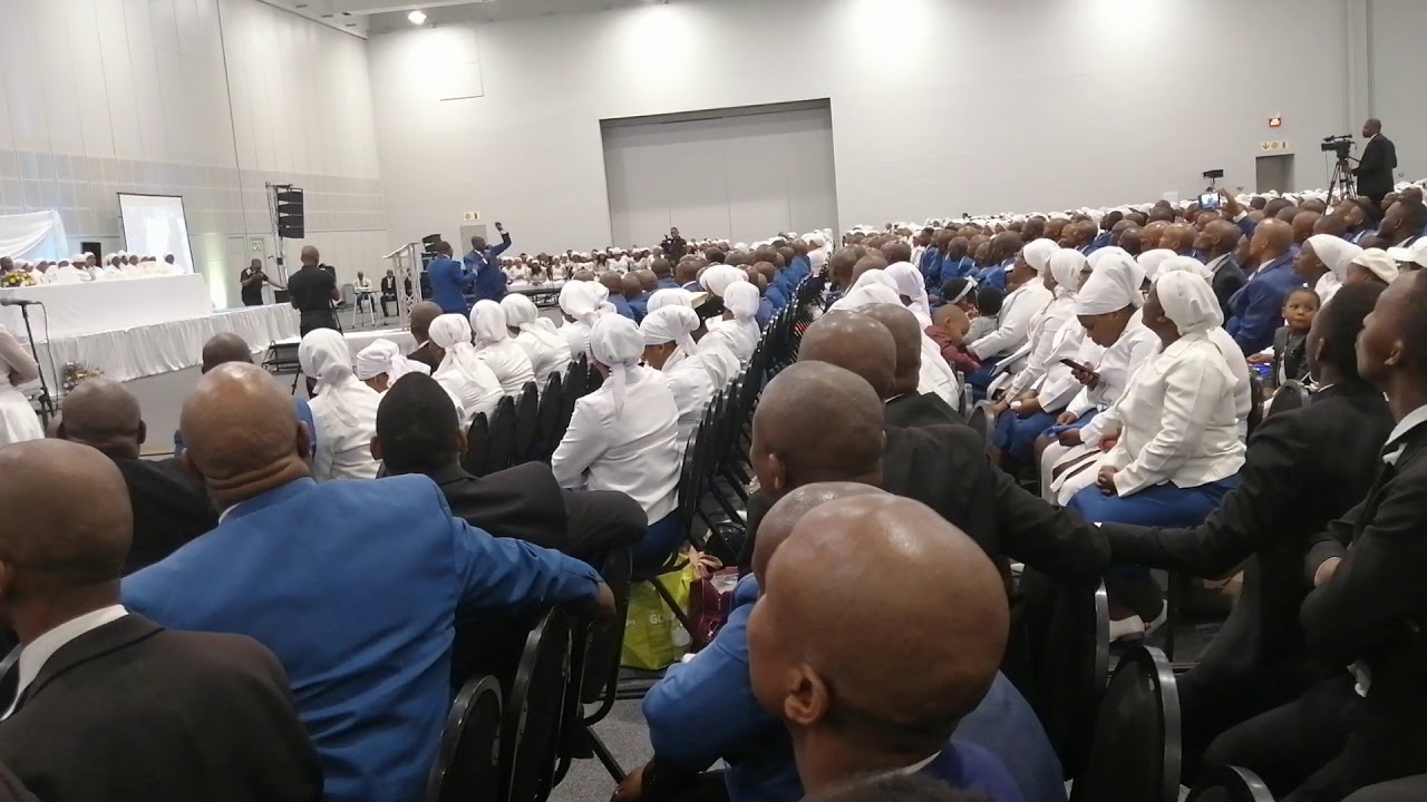 TACC Apostle British Novas - #NYS2019