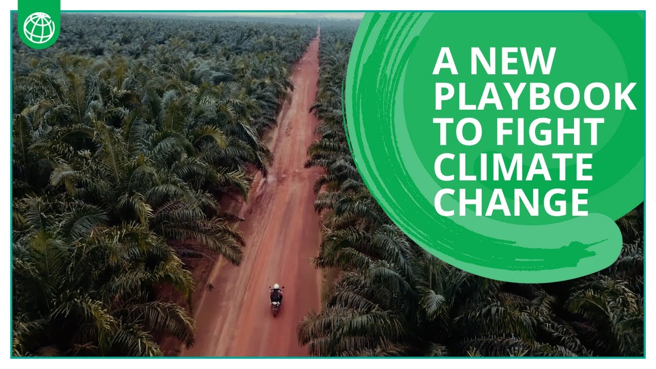 A New Playbook to Fight Climate Change