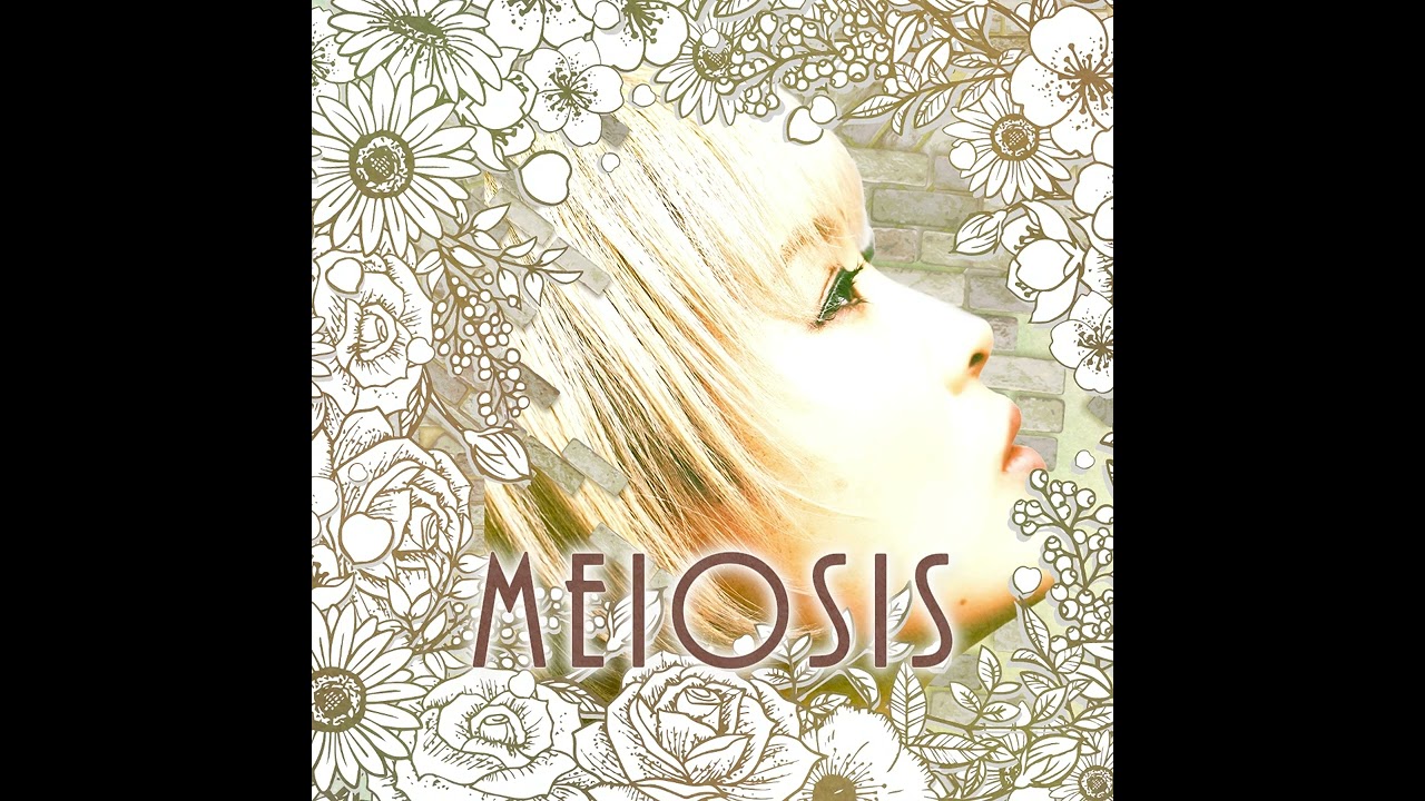 Meiosis/Sabonnu【volcabeats&voladrum】