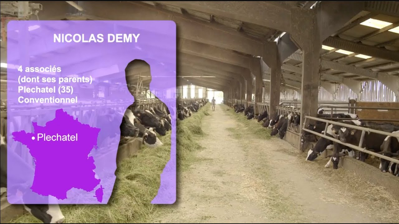 La luzerne & vous: Ep.2 : la luzerne en agriculture conventionnelle