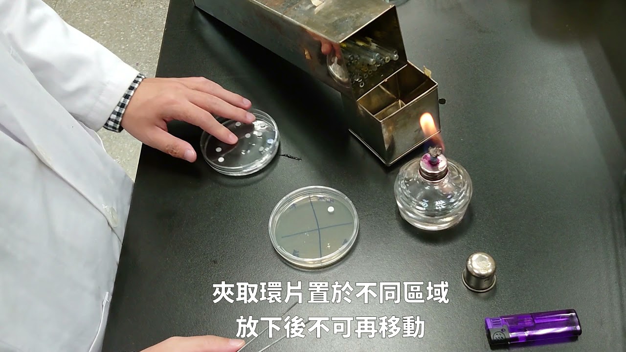 物質的抗菌試驗