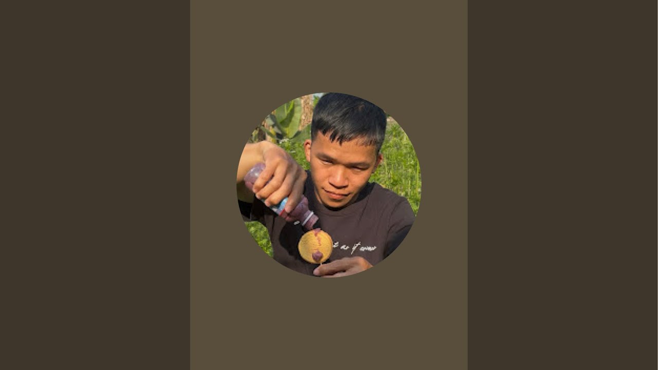 SON’S RURAL VIETNAM 🌾 đang phát trực tiếp! Bác nông dân thu hoạch nông sản. Bấm theo dõi ông