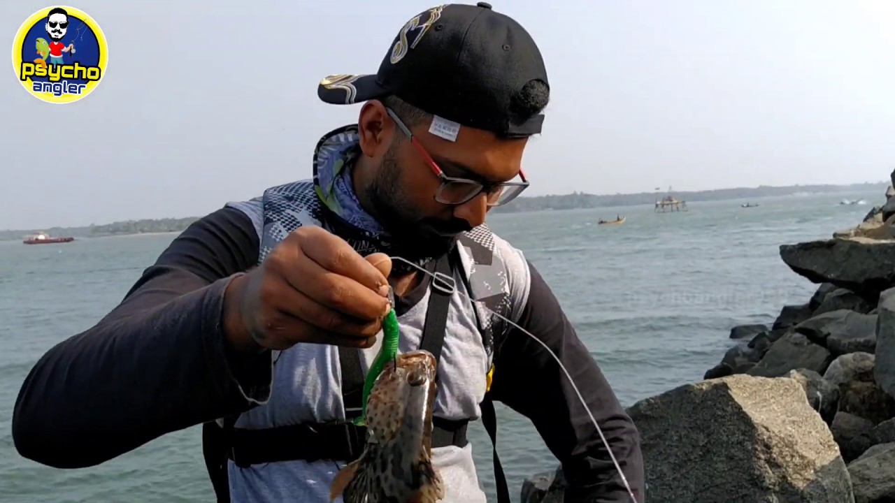 Grouper fishing kerala | hamoor catch and release in kerala harbour | malayalam (psycho angler)
