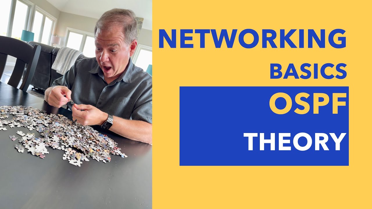Основы сетевых технологий — теория OSPF