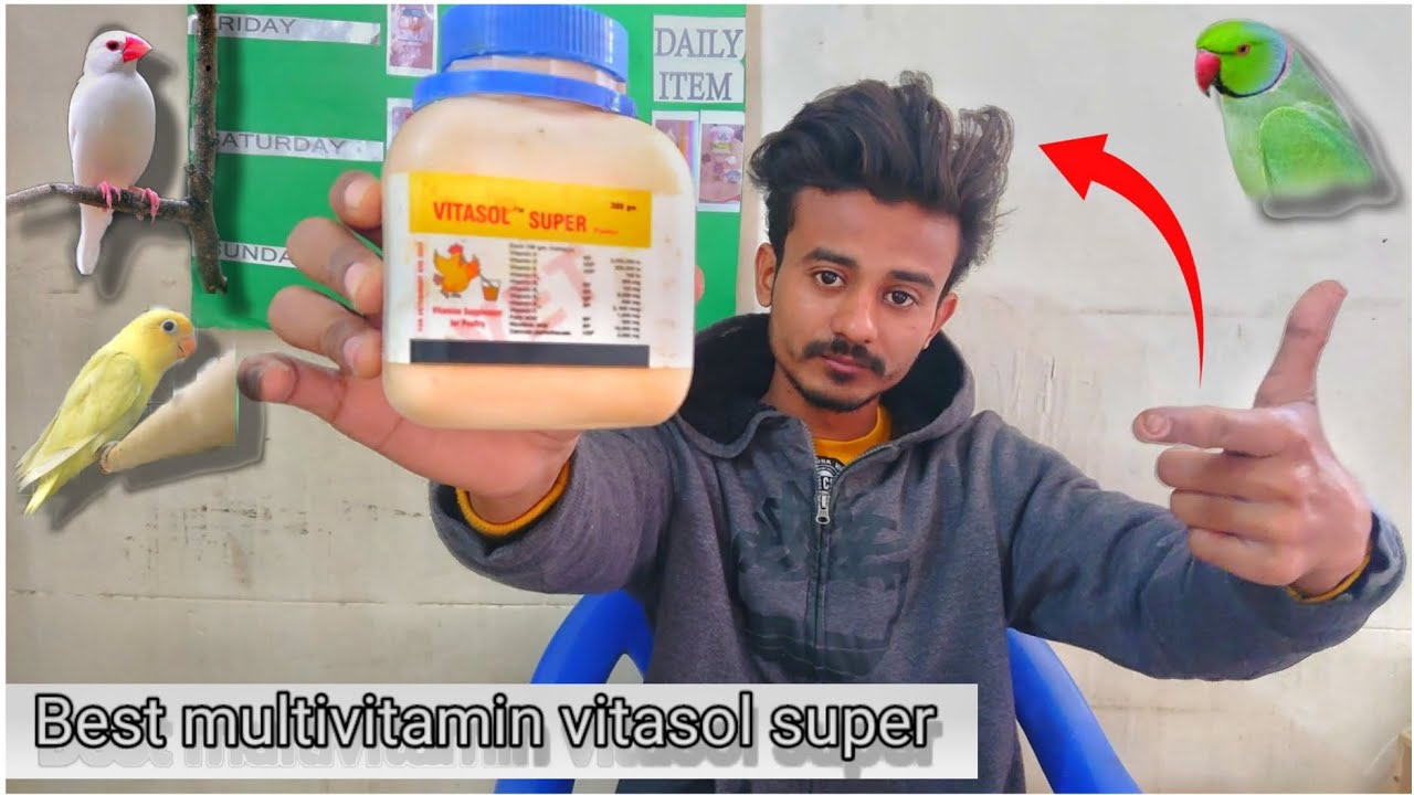 Vitasol super for birds || Java lovebirds breeding formula vitasol super || all detail description⬇️