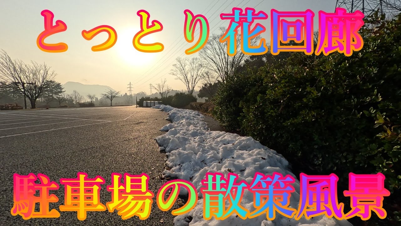 冬の季節 1月16日 金曜 晴れ 花の香園 #とっとり花回廊 駐車場の散策風景 日本 鳥取県西伯郡南部町鶴田 レストラン花かいろう @WalkingYoshi
