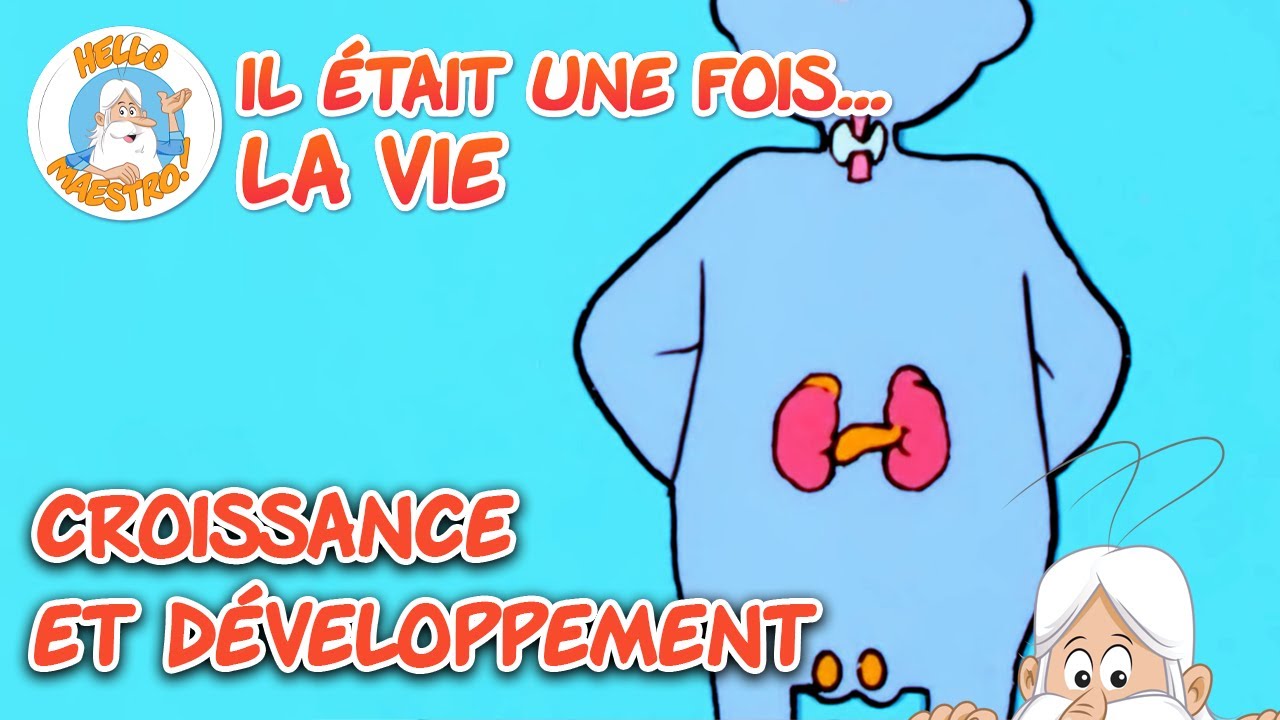 Croissance et développement | Compilation d'épisodes | Il était une fois... la Vie