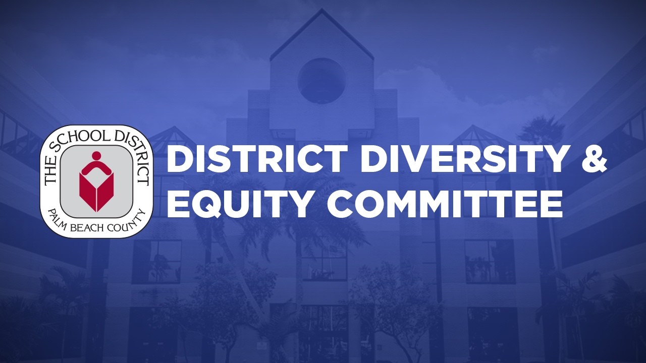 02.26.2026 District Diversity and Equity Committee (DDEC) Meeting