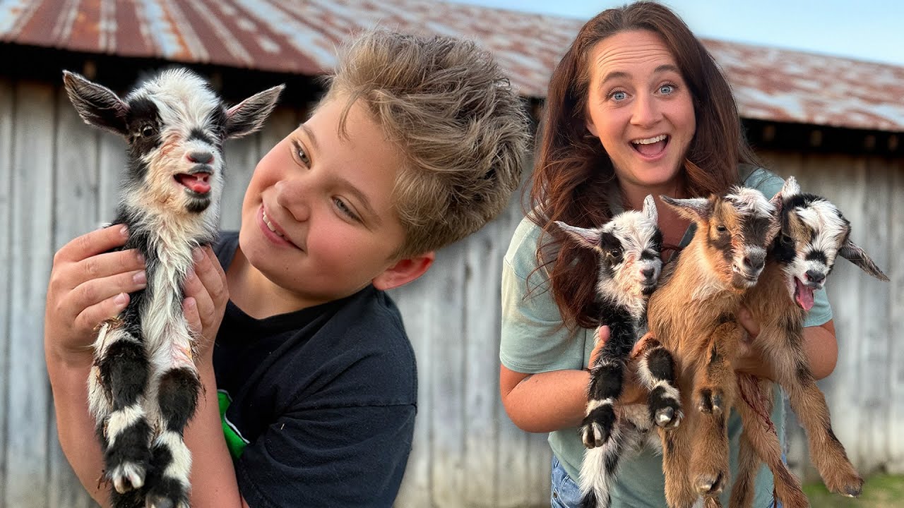 Surprise BABY GOATS Born On Our Backyard Farm!!