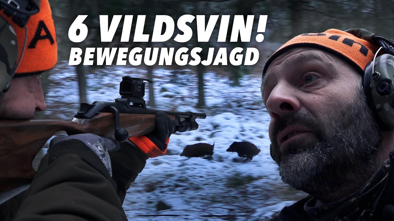 Drevjakt på Vildsvin - Bewegungsjagd Johannishus