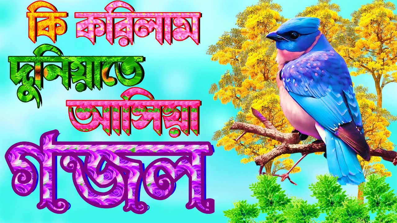 সেরা মায়াবী কন্ঠে হৃদয় জুড়ানো দারুন সুন্দর একটি গজল |অন্তর ছোয়া গজল |New Bangla Islamic Gojol
