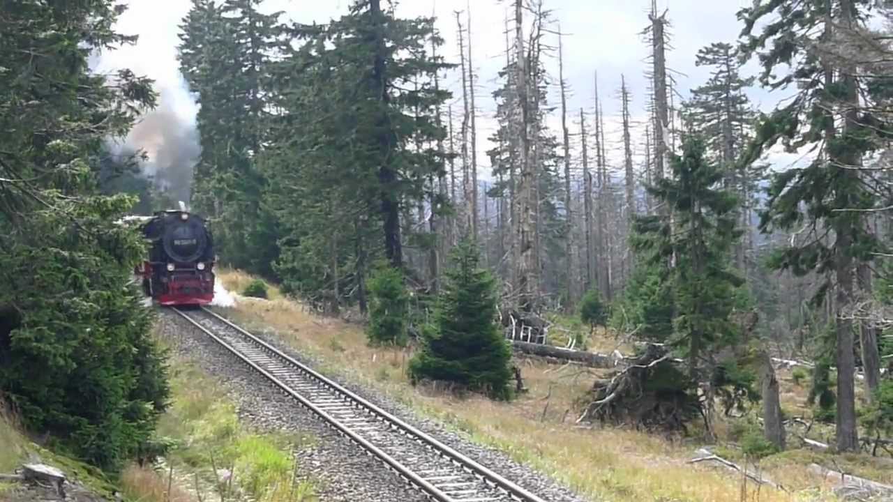蒸気機関車　SL　登り坂力走　Dampflok auf dem Weg zum Brocken-Harzer Schmalspurbahn