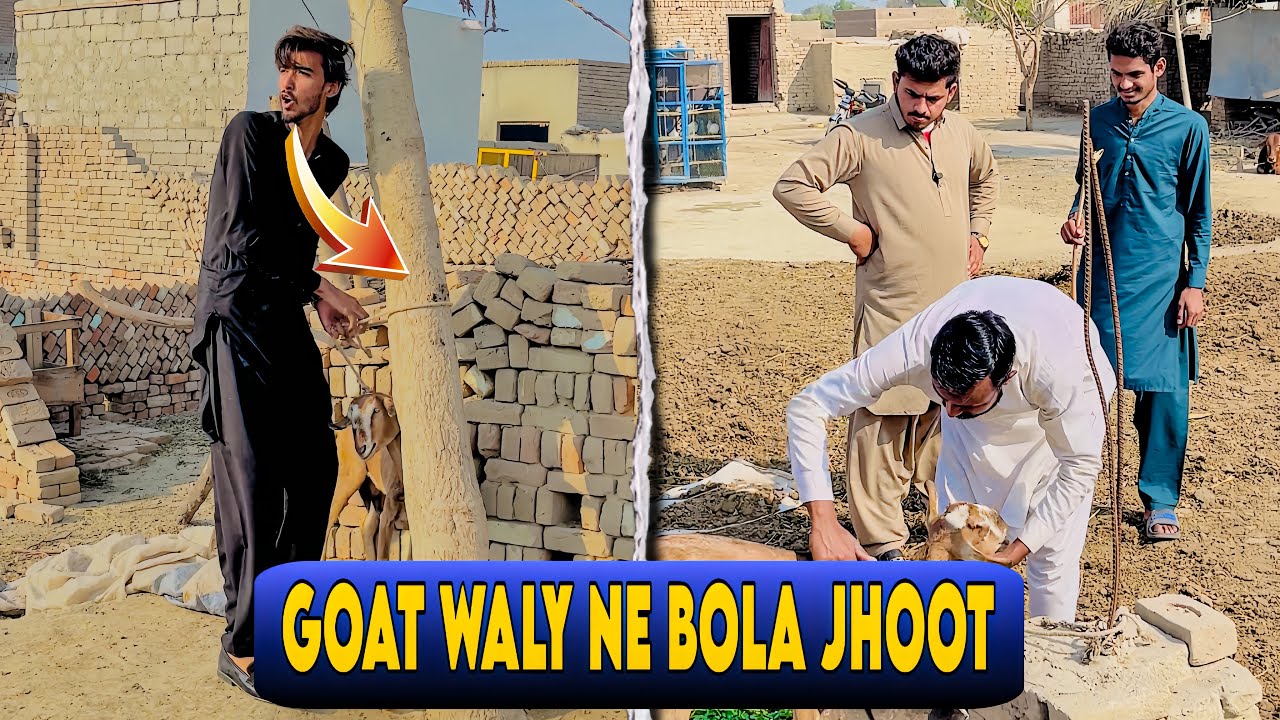 Goat Waly ne Jhoot Q Bola🤔