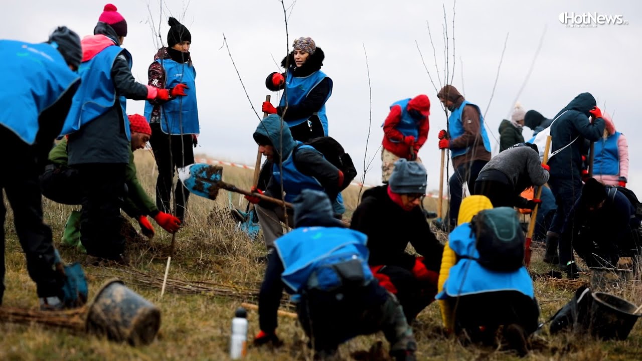 Cum se plantează o pădure de cinci hectare?