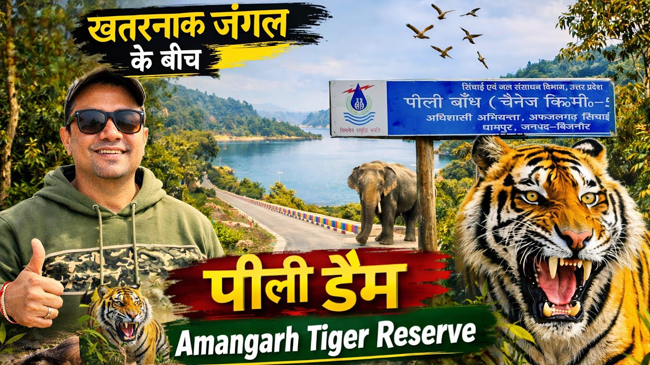 अमानगढ़ का अनछुआ जंगल | Pili Dam | बाघों का सुरक्षित ठिकाना | Amangarh Tiger Reserve #uttarpradesh 