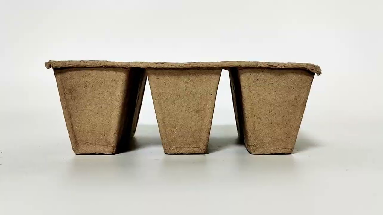 Green Packaging Innovations: Wholesale Custom Molded Fiber and Pulp Products &ndash; Biodegradable, Re