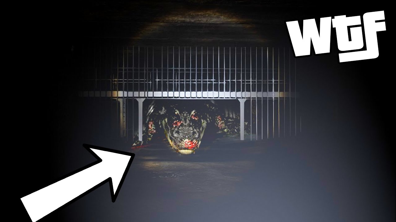 GTA 5 SECRET 