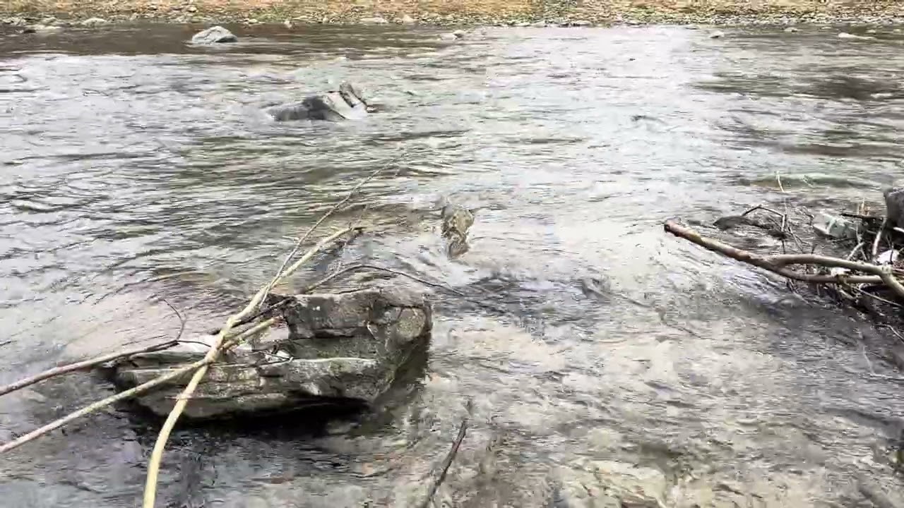 Природа. The peaceful beauty and sounds of nature of God the Creator, video story 159