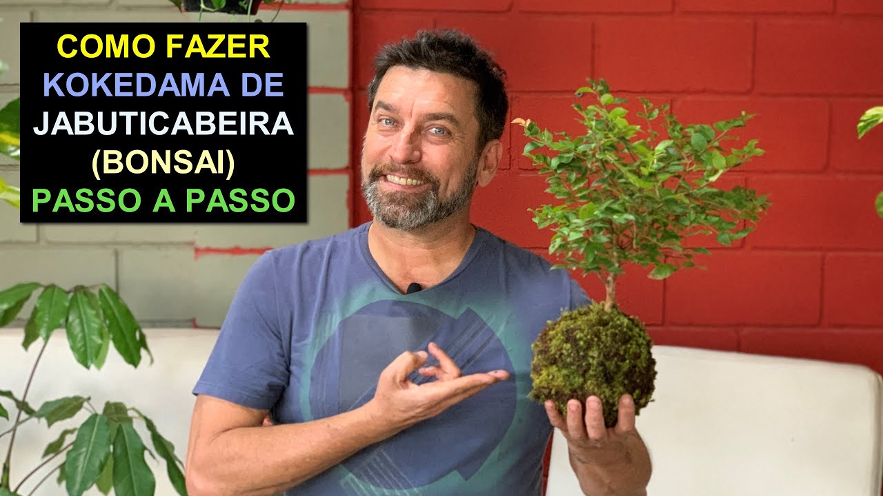 Como Fazer Kokedama de Jabuticabeira (Bonsai) Passo a Passo