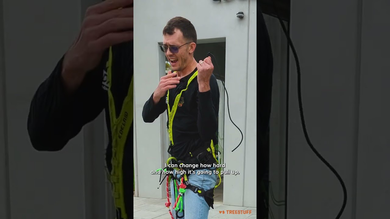 Система скалолазания EDELRID TreeRex - TreeStuff #шорты