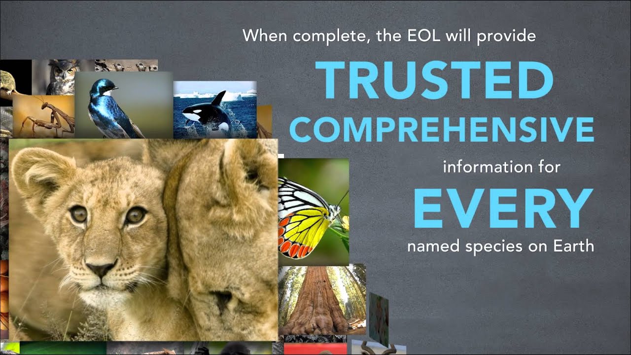What is the Encyclopedia of Life?