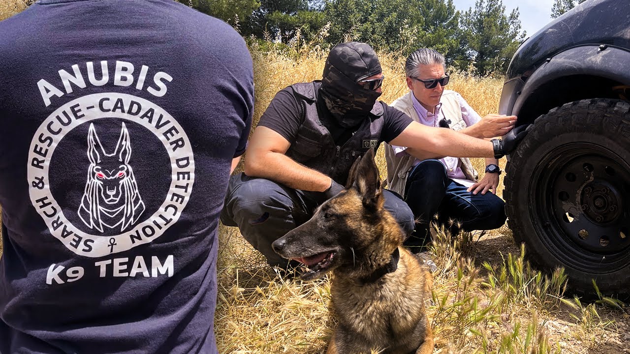Anubis K9: Τα Μαλινουά που εντοπίζουν νεκρούς και εξιχνιάζουν υποθέσεις