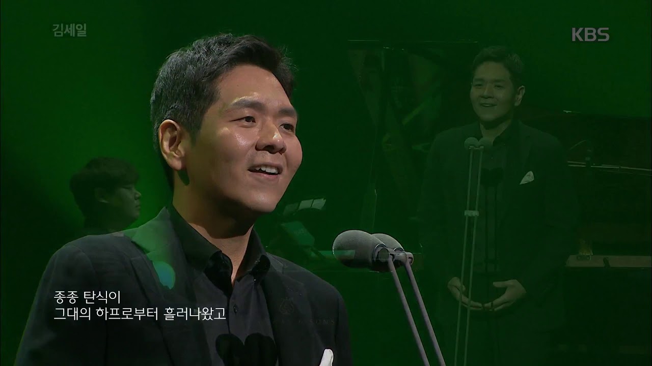[김세일] 프란츠 슈베르트 / 음악에게 [안디무지크/An Die Musik]