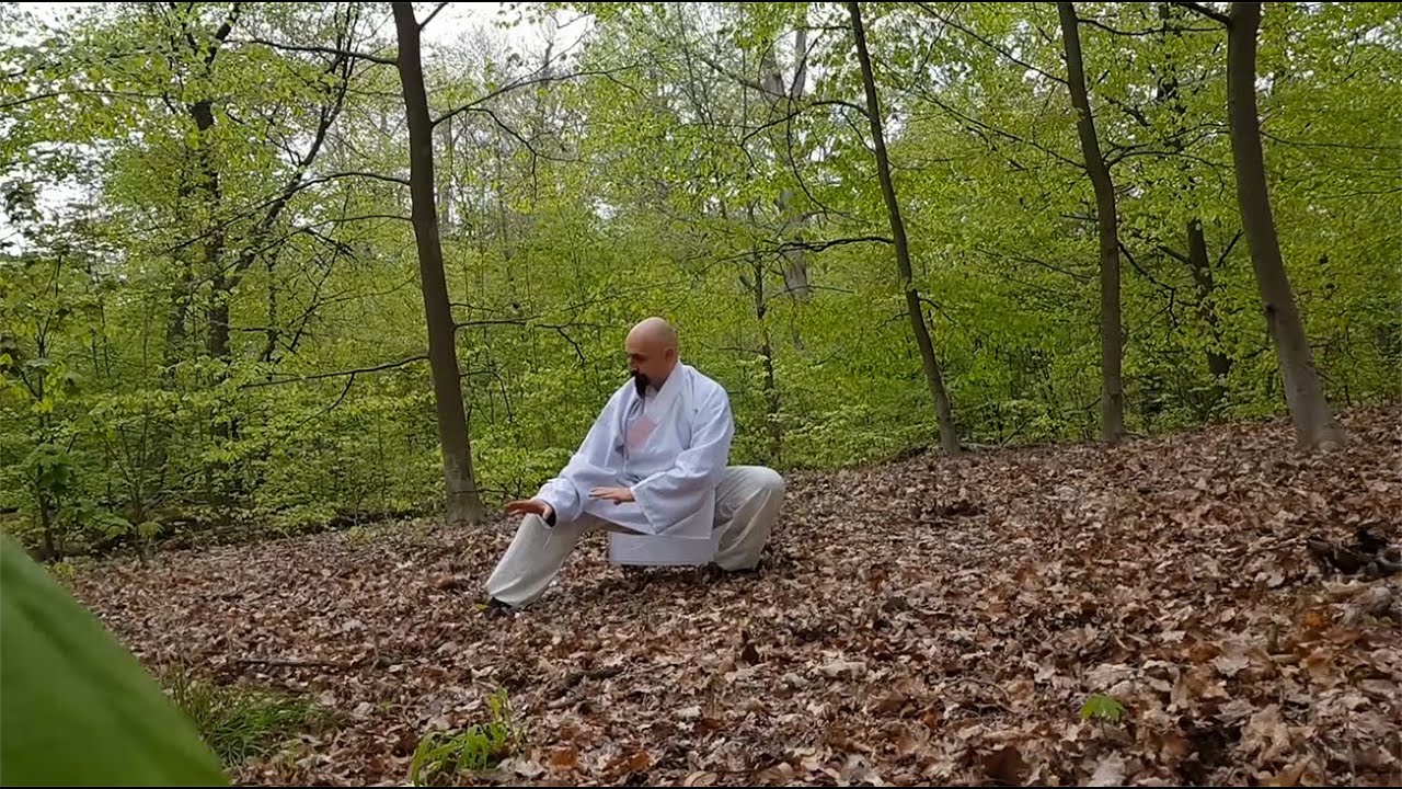 TAI JI QUAN - ISMET HIMMET