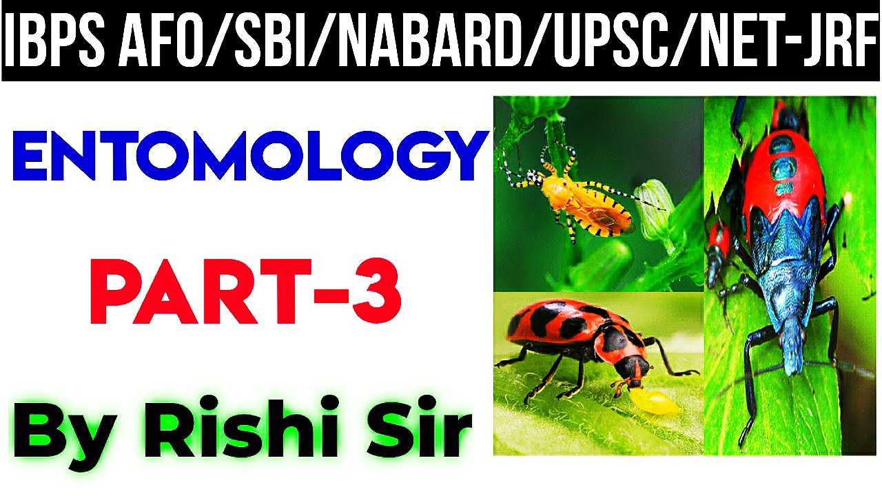 Entomology Part-3 || Morphology of Insects, Metamorphosis, Types of Larvae || By Rishi sir ||
