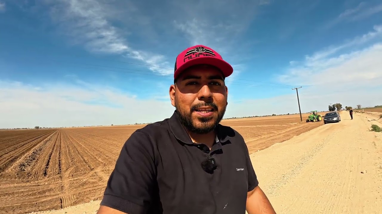 Nos Encontramos En Una Siembra De Maíz Amarillo En El Valle De Mexicali 