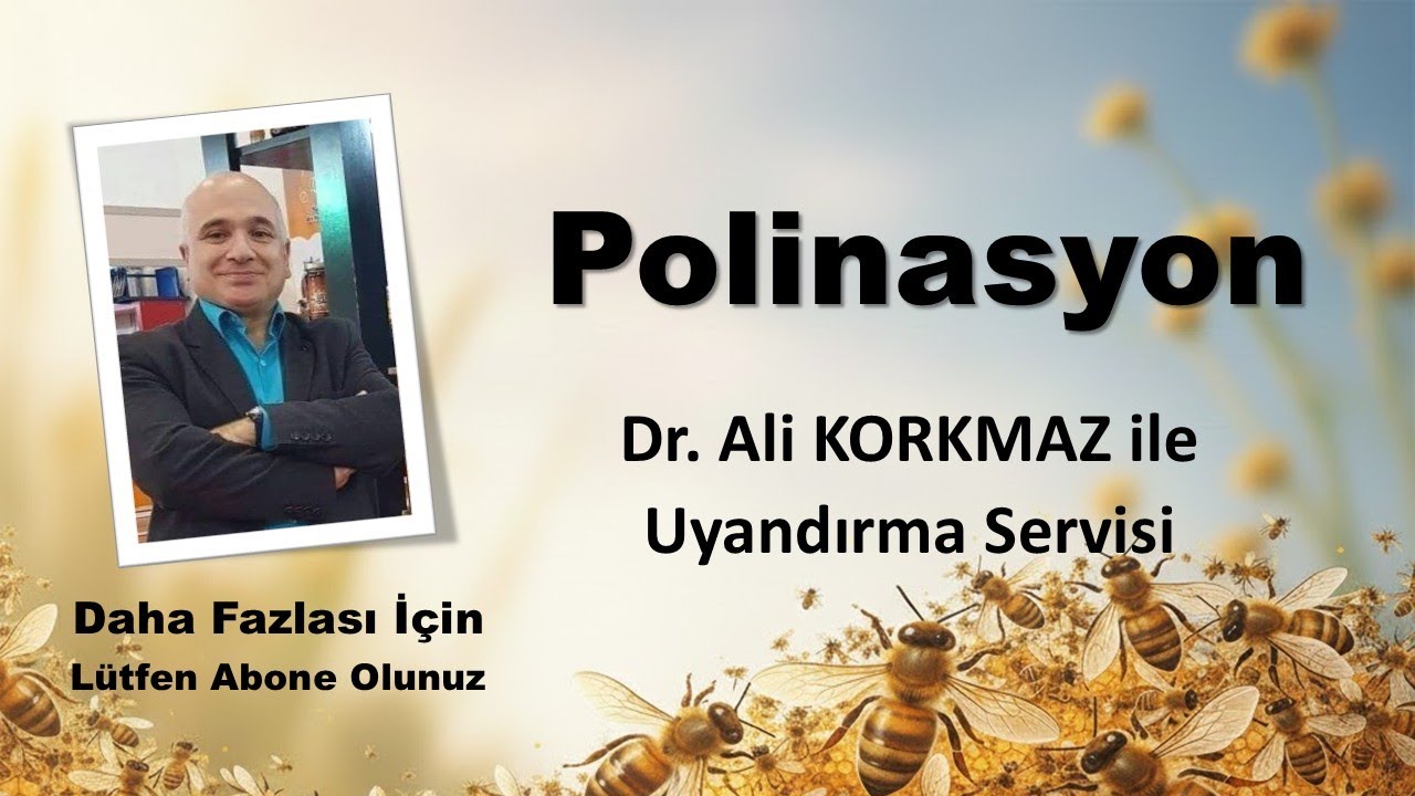 Polinasyon Nedir