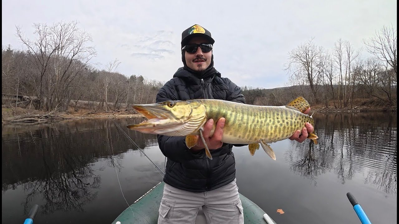 River Musky Fishing (Multiple Muskies Caught)