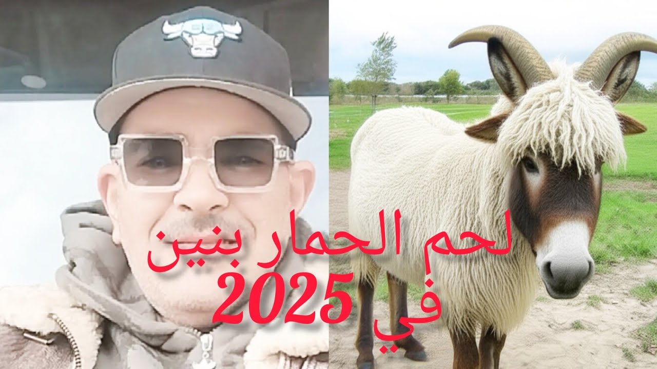 #كيجاكم اللحم الحمار يافقراء#ههه